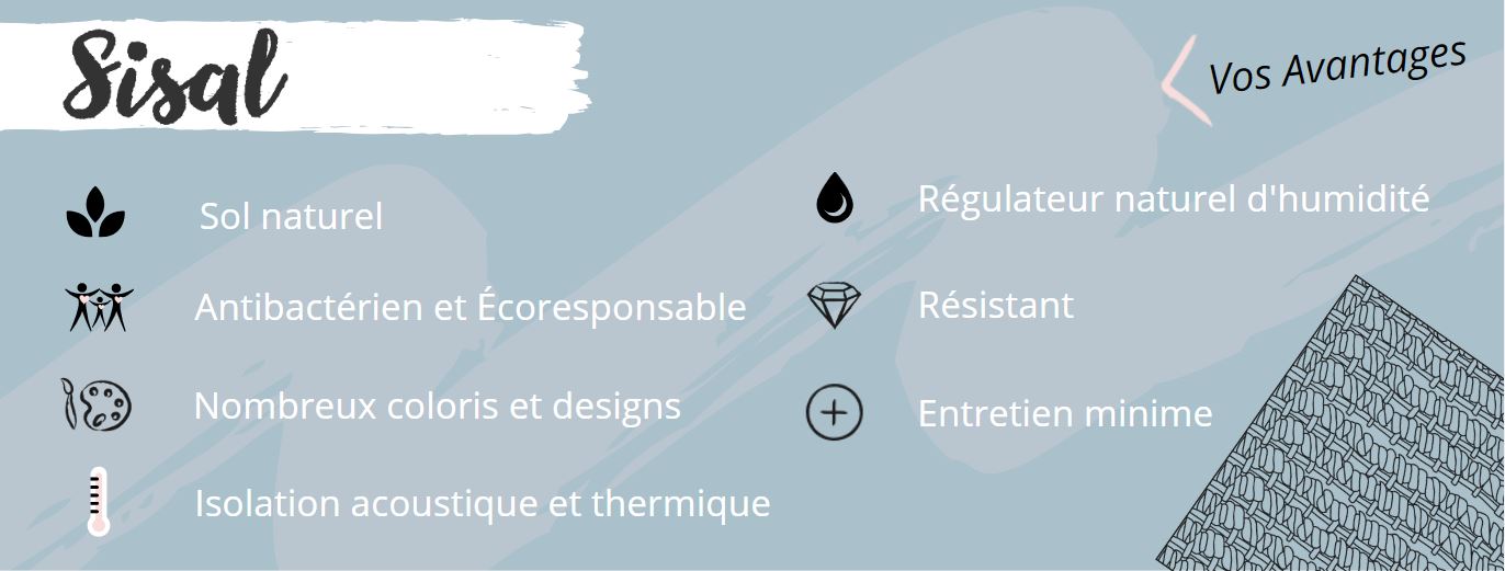 Infographie - Sisal